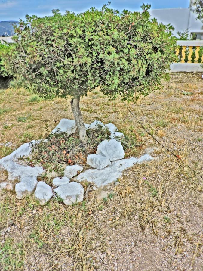 Maria Apartments Amoopi Luaran gambar